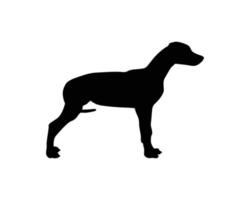 hond silhouet vector sjabloon