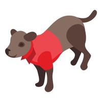 zorg hond kleding icoon, isometrische stijl vector