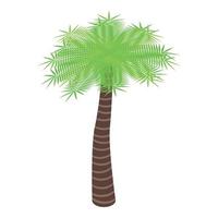 tuin palm boom icoon, isometrische stijl vector