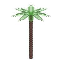 palm boom icoon, isometrische stijl vector