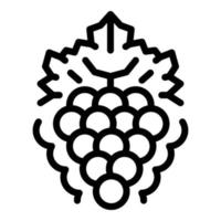 bundel van druiven met blad icoon, schets stijl vector