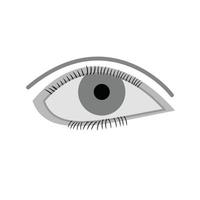 een oog vlak grijswaarden icoon vector