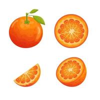 reeks van oranje fruit plakjes. geheel oranje met bladeren, voor de helft, plak en cirkel. vector