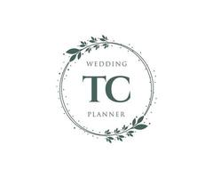 tc initialen brief bruiloft monogram logos verzameling, hand- getrokken modern minimalistisch en bloemen Sjablonen voor uitnodiging kaarten, opslaan de datum, elegant identiteit voor restaurant, boetiek, cafe in vector