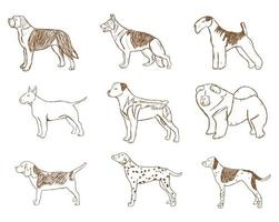 honden set. vector illustratie.