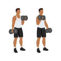 man doet afwisselend dumbbell curl. platte vectorillustratie geïsoleerd op verschillende lagen. training karakter vector