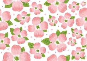 Dogwood Flower Naadloos Patroon vector