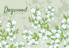 Gratis Handgetekende Dogwood Bloemen vector