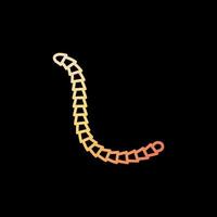 cestoda vector parasitair wormen concept geel schets icoon