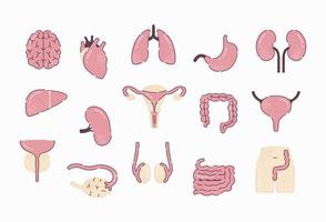 menselijk organen vector in vlak ontwerp