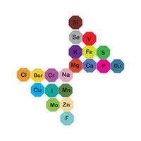 mineralen micro-elementen en macro elementen, nuttig voor menselijk Gezondheid. grondbeginselen van gezond aan het eten en gezond levensstijlen. vector