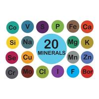 mineralen micro-elementen en macro elementen, nuttig voor menselijk Gezondheid. grondbeginselen van gezond aan het eten en gezond levensstijlen. vector