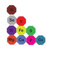 mineralen micro-elementen en macro elementen, nuttig voor menselijk Gezondheid. grondbeginselen van gezond aan het eten en gezond levensstijlen. vector