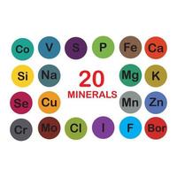 mineralen micro-elementen en macro elementen, nuttig voor menselijk Gezondheid. grondbeginselen van gezond aan het eten en gezond levensstijlen. vector