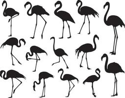 flamingo silhouet reeks vector