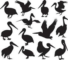 pelikaan vogel silhouet vector