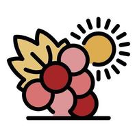 druiven en zon icoon kleur schets vector