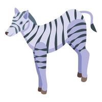 safari zebra icoon isometrische vector. Afrika dier vector