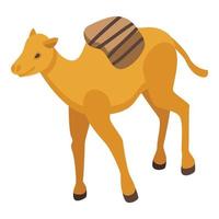 dierentuin kameel icoon, isometrische stijl vector