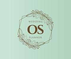 os initialen brief bruiloft monogram logos verzameling, hand- getrokken modern minimalistisch en bloemen Sjablonen voor uitnodiging kaarten, opslaan de datum, elegant identiteit voor restaurant, boetiek, cafe in vector