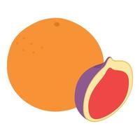 exotisch fruit icoon isometrische vector. vers rijp sappig grapefruit en fig vector