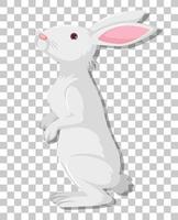 wit konijn cartoon geïsoleerd op transparante achtergrond vector