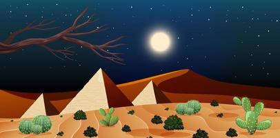 wild woestijnlandschap bij nachtscène vector