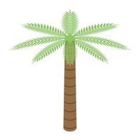 Egypte palm boom icoon, isometrische stijl vector