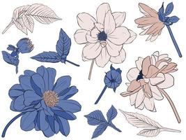 vector illustratie - bloemen reeks bloem, bladeren en takken . hand- gemaakt ontwerp elementen in kleur schetsen stijl. perfect voor uitnodigingen, groet kaarten, tatoeages, afdrukken.