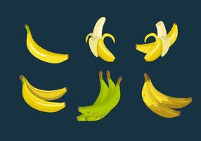 Plantain banaan vector collectie
