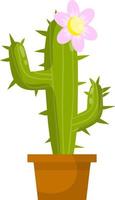 cactus in pot. huis fabriek. groen sappig. vlak tekenfilm illustratie geïsoleerd vector