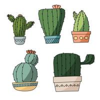 vector reeks van helder cactus. cactus met bloemen.