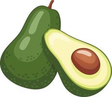 twee avocado helften vector illustratie