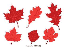 Japanse Maple Collection Vector