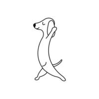 teckel praktijken yoga. vector tekening geïsoleerd puppy