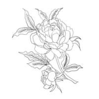 wild roos bloemen tekening en schetsen met lijn kunst. vector