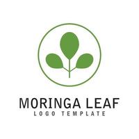 moringa blad logo sjabloon vector symbool natuur