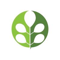 moringa blad logo sjabloon vector symbool natuur