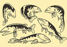 Muskie Vector Pictogrammen