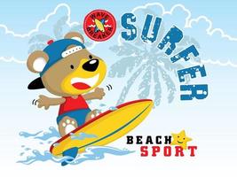 vector tekenfilm van grappig beer surfen, surfing element illustratie