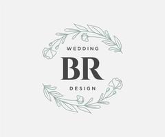 br initialen brief bruiloft monogram logos verzameling, hand- getrokken modern minimalistisch en bloemen Sjablonen voor uitnodiging kaarten, opslaan de datum, elegant identiteit voor restaurant, boetiek, cafe in vector