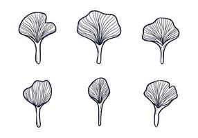 Ginkgo Leafes Illustratie vector