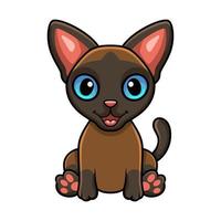 schattig tonkinees kat tekenfilm zittend vector