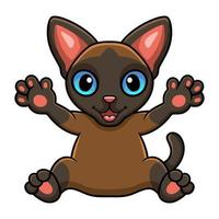 schattig tonkinees kat tekenfilm verhogen handen vector