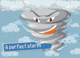 idioom poster met een perfecte storm vector