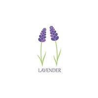 lavendel bloemen aromatisch logo vector icoon illustratie