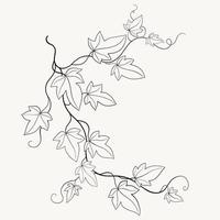 bloemen klimop tekening decoratief ornament vlak ontwerp. vector