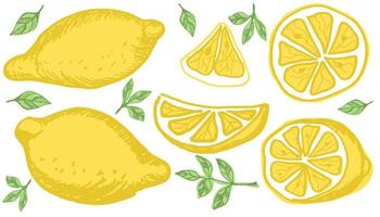 vector hand- getrokken reeks van citroenen.