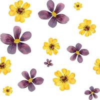 waterverf hand- getrokken naadloos patroon met geel en Purper bloemen, geïsoleerd Aan wit achtergrond. ontwerp voor kaarten, geschenk Tassen, uitnodigingen, textiel, afdrukken, behang, voor kinderen vector