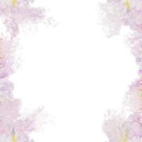 waterverf pastel achtergrond arrangement met hand- getrokken delicaat roze pioen bloemen, bloemknoppen en bladeren. geïsoleerd Aan wit. voor uitnodigingen, bruiloft, liefde of groet kaarten, papier, afdrukken, textiel vector